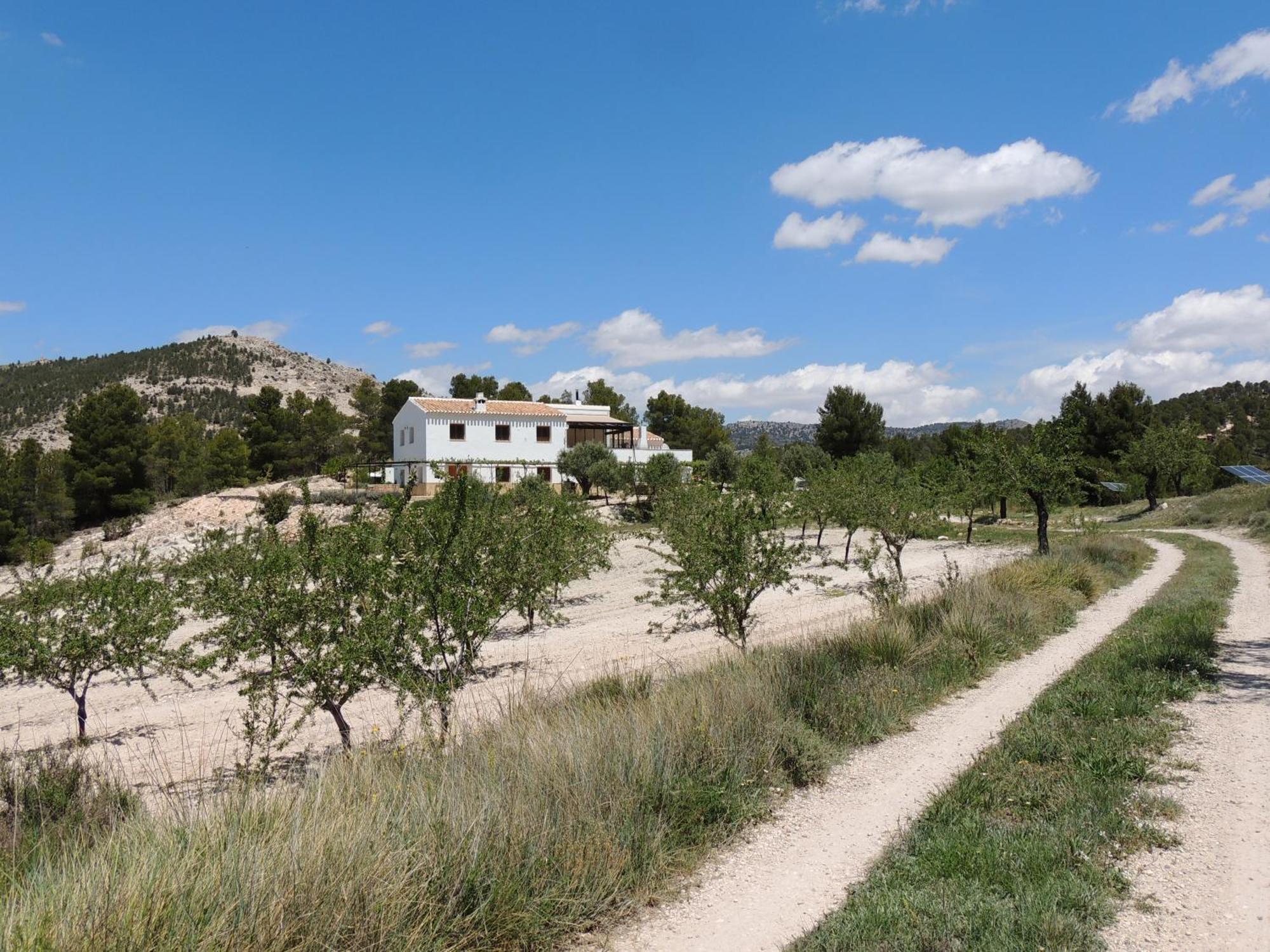 Appartement Cortijo Blanco à Vélez Blanco Extérieur photo